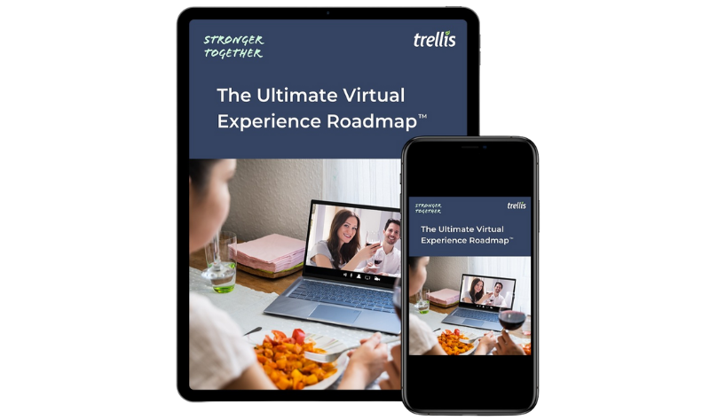 Free Virtual Experience Roadmap