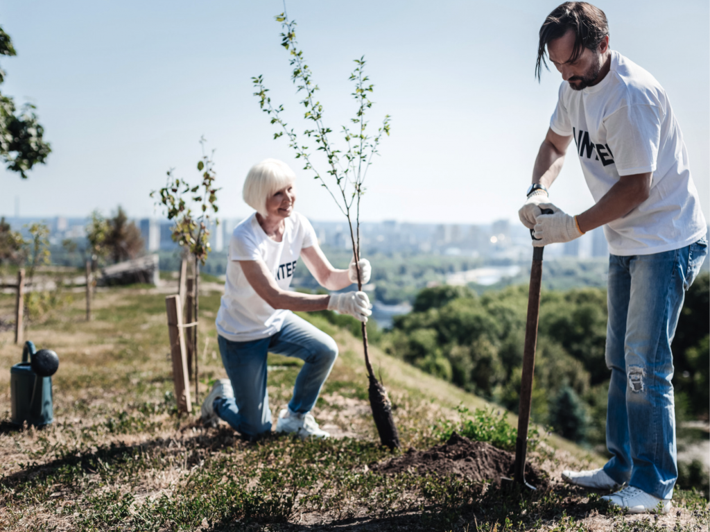 Volunteer Tree Planters